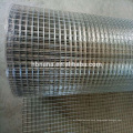 Electric galvanized or hot dipped galvanized welded wire mesh